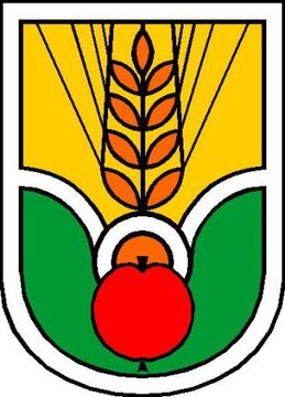pucon1 - Kopija