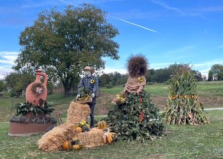 Naj kraj Pečarovci 2